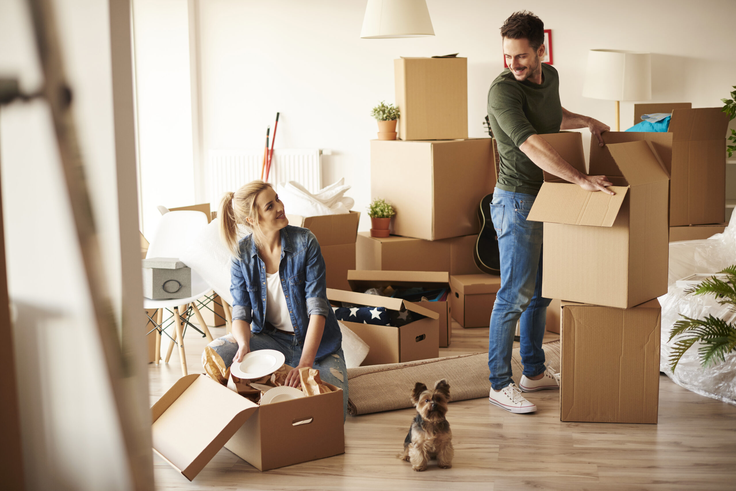 Young couple unpacking boxes with small dog in new apartment after relocating